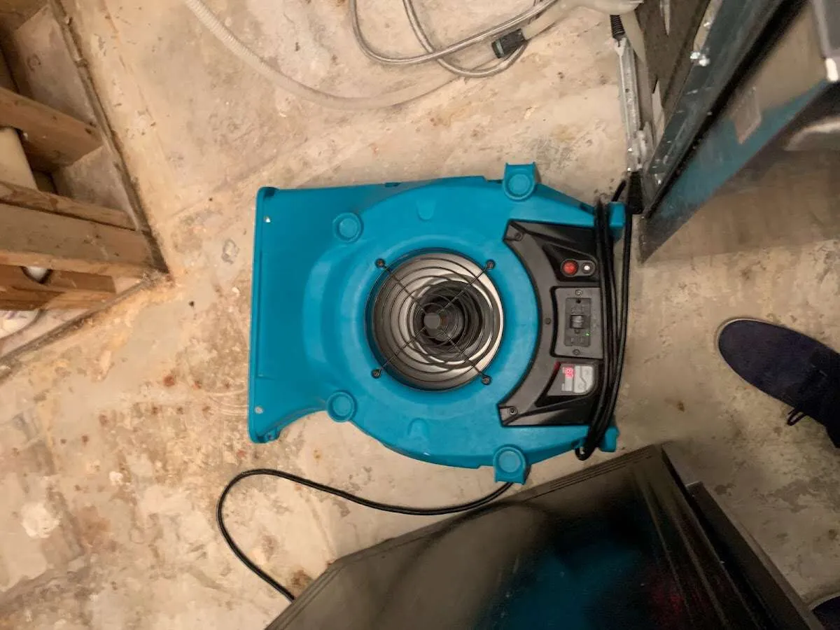Air mover drying equipment for Mold Remediation & Removal in Greenwood Village